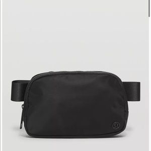 Everywhere Belt Bag